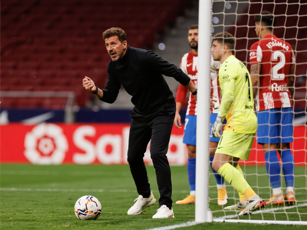 组织进攻的 组织进攻的